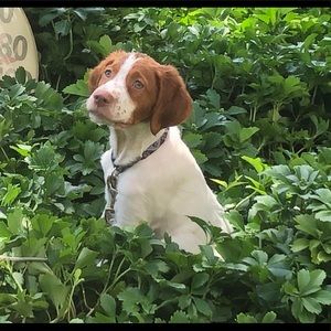 Meet your Posher, Lu